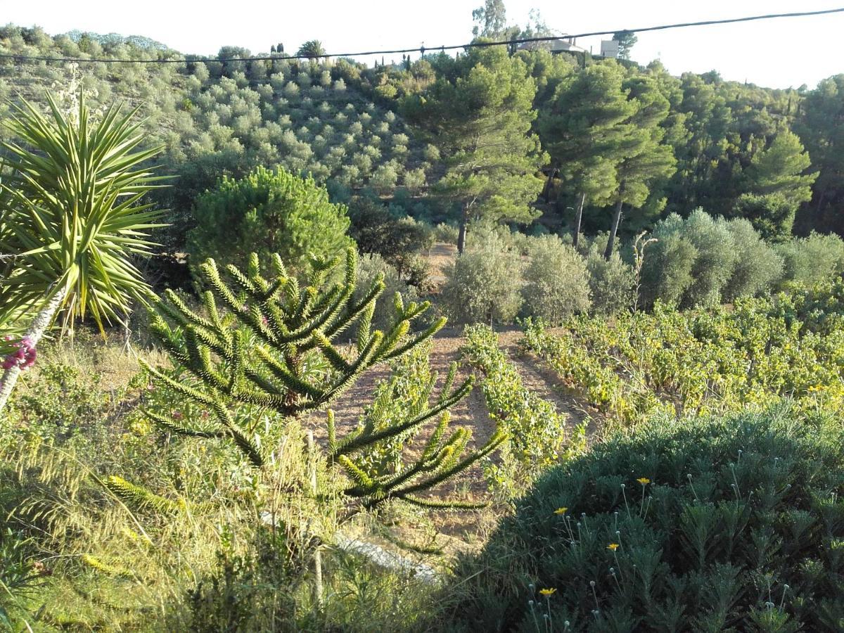 לה קסטלה La Bastide De L'Oliveraie מראה חיצוני תמונה