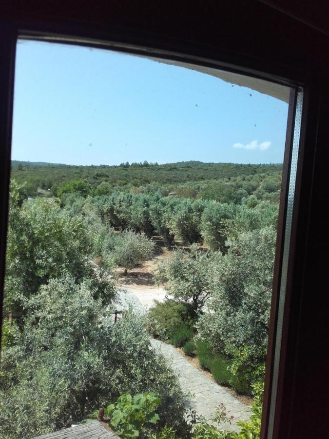 לה קסטלה La Bastide De L'Oliveraie מראה חיצוני תמונה