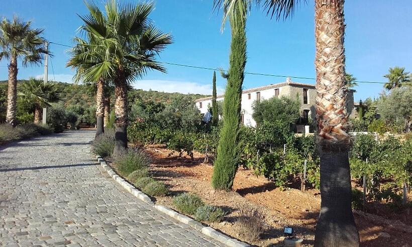 לה קסטלה La Bastide De L'Oliveraie מראה חיצוני תמונה